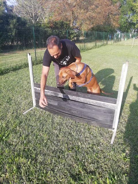 Davide Bergamaschi aiuta un cane a superare un piccolo ostacolo durante un allenamento in campo